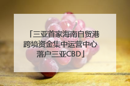三亚首家海南自贸港跨境资金集中运营中心落户三亚CBD