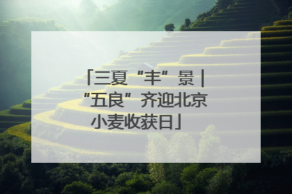 三夏“丰”景｜“五良”齐迎北京小麦收获日