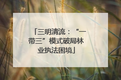 三明清流：“一带三”模式破局林业执法困境