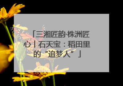 三湘匠韵·株洲匠心丨石天宝：稻田里的“追梦人”