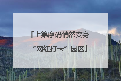 上第摩码悄然变身“网红打卡”园区