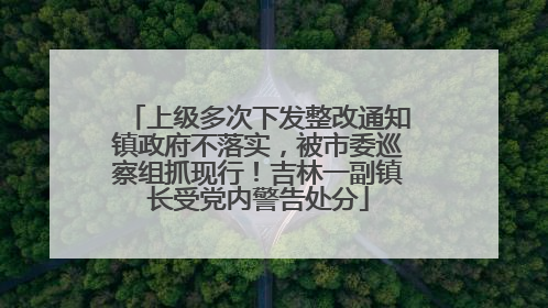 上级多次下发整改通知镇政府不落实，被市委巡察组抓现行！吉林一副镇长受党内警告处分