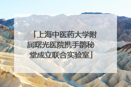 上海中医药大学附属曙光医院携手鹊秘堂成立联合实验室