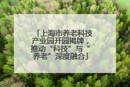 上海市养老科技产业园开园揭牌，推动“科技”与“养老”深度融合
