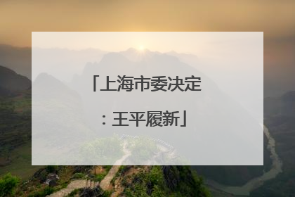 上海市委决定：王平履新