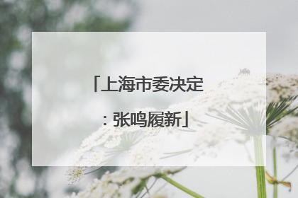 上海市委决定：张鸣履新