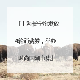 上海长宁将发放4轮消费券，举办时尚国潮市集