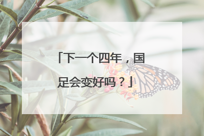 下一个四年，国足会变好吗？