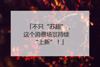 不只“苏超”，这个消费场景持续“上新”！
