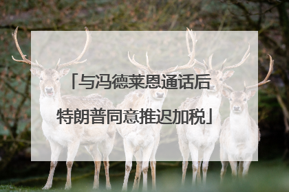 与冯德莱恩通话后 特朗普同意推迟加税