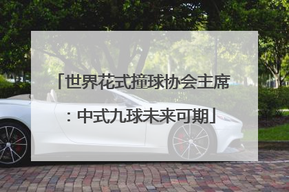 世界花式撞球协会主席：中式九球未来可期