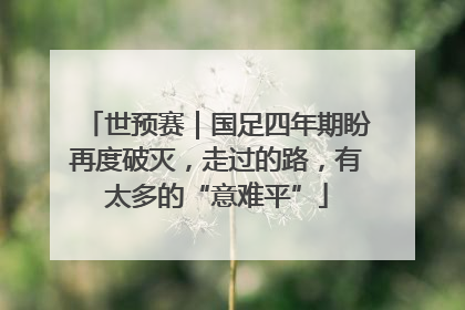 世预赛｜国足四年期盼再度破灭，走过的路，有太多的“意难平”