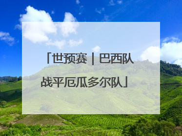 世预赛｜巴西队战平厄瓜多尔队