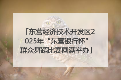 东营经济技术开发区2025年“东营银行杯”群众舞蹈比赛圆满举办