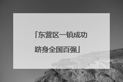 东营区一镇成功跻身全国百强