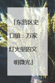 东营区史口镇：万家灯火里的文明微光