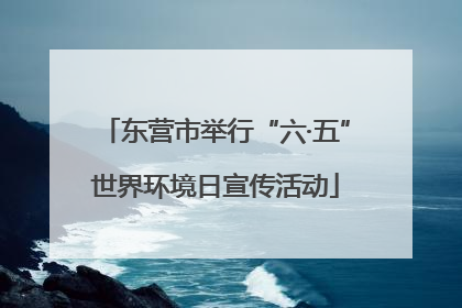 东营市举行“六·五”世界环境日宣传活动