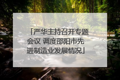 严华主持召开专题会议 调度邵阳市先进制造业发展情况