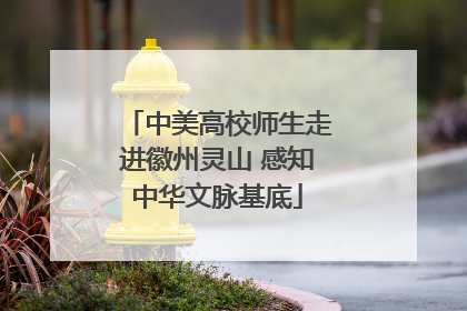中美高校师生走进徽州灵山 感知中华文脉基底