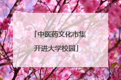 中医药文化市集开进大学校园