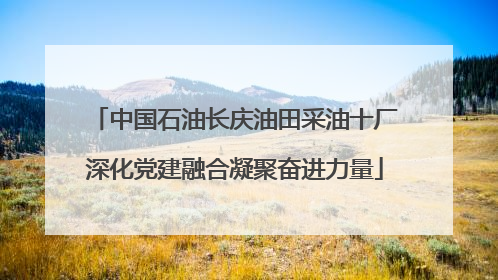 中国石油长庆油田采油十厂深化党建融合凝聚奋进力量