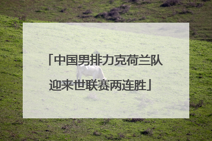 中国男排力克荷兰队 迎来世联赛两连胜