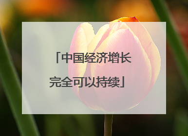 中国经济增长完全可以持续