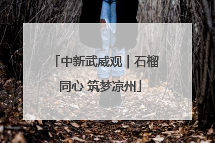 中新武威观｜石榴同心 筑梦凉州
