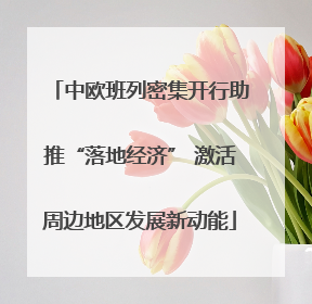 中欧班列密集开行助推“落地经济” 激活周边地区发展新动能
