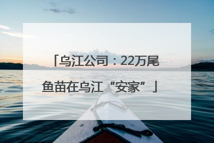 乌江公司：22万尾鱼苗在乌江“安家”