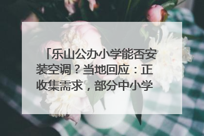 乐山公办小学能否安装空调？当地回应：正收集需求，部分中小学已启动安装｜云求助