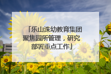 乐山洙幼教育集团聚焦园所管理，研究部署重点工作