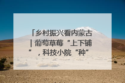乡村振兴看内蒙古｜葡萄草莓“上下铺”，科技小院“种”出三倍效益
