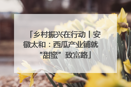 乡村振兴在行动丨安徽太和：西瓜产业铺就“甜蜜”致富路