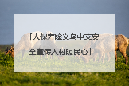 人保寿险义乌中支安全宣传入村暖民心