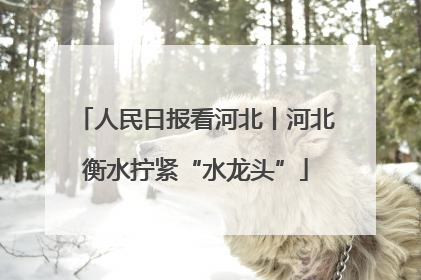 人民日报看河北丨河北衡水拧紧“水龙头”