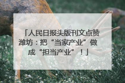 人民日报头版刊文点赞潍坊：把“当家产业”做成“担当产业”！