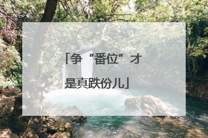 争“番位”才是真跌份儿