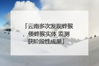 云南多次发现蜂猴、倭蜂猴实体 监测获阶段性成果