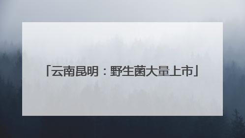 云南昆明：野生菌大量上市
