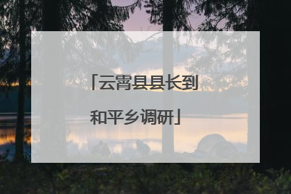 云霄县县长到和平乡调研