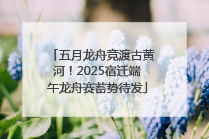五月龙舟竞渡古黄河！2025宿迁端午龙舟赛蓄势待发