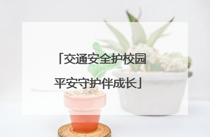 交通安全护校园 平安守护伴成长