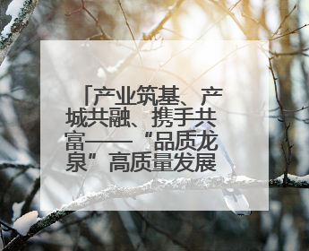 产业筑基、产城共融、携手共富——“品质龙泉”高质量发展三部曲