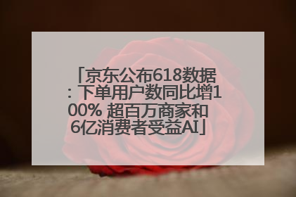 京东公布618数据：下单用户数同比增100% 超百万商家和6亿消费者受益AI