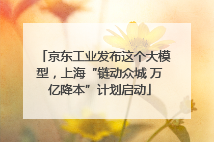 京东工业发布这个大模型，上海“链动众城 万亿降本”计划启动