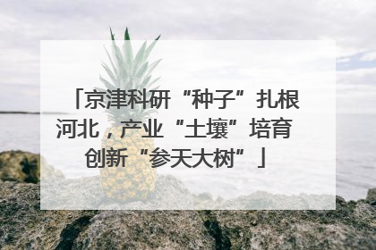 京津科研“种子”扎根河北，产业“土壤”培育创新“参天大树”