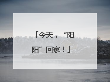 今天，“阳阳”回家！