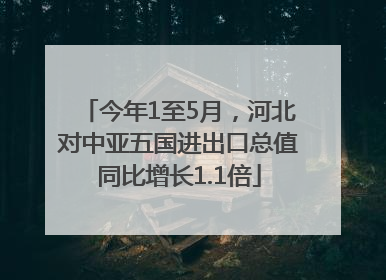 今年1至5月，河北对中亚五国进出口总值同比增长1.1倍