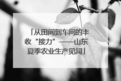 从田间到车间的丰收“接力”——山东夏季农业生产见闻